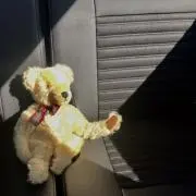 ねんねくまの画像