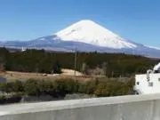 ちびたちゃんの画像