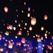 珠チルの画像