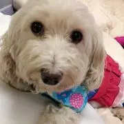 ♡緊急SALE中♡【プロフ必読】ジェジェ