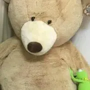 やさい