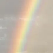 nanakoの画像