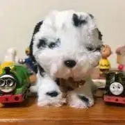 ひとくねり