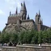 チルチルの画像