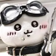 かいの画像