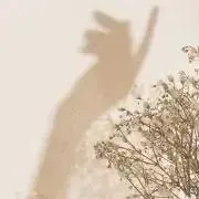 なかまの画像