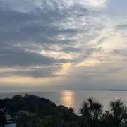 a1a1
