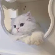 みちの画像