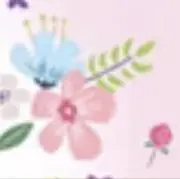 ＊プロフ必読の画像