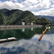 ビートの画像