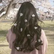 いろどり屋の画像