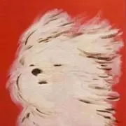 八