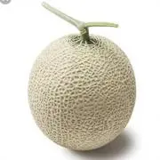 ☆melon☆