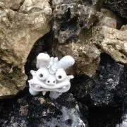 namの画像