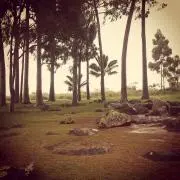 qilixiangの画像