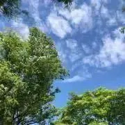 eの画像