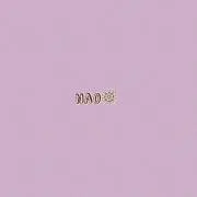 NAOの画像