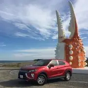 ハレの画像
