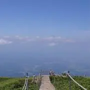 マイマイの画像