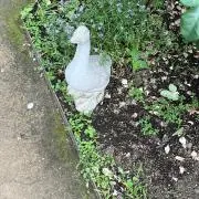 まっつんの画像