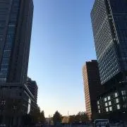 ぴー助の画像