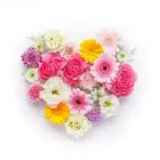 モカの画像