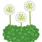 みえの画像