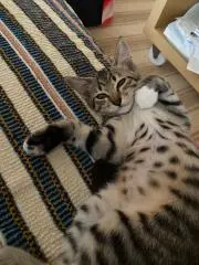 みなほぉ*・