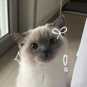 ちょる。の画像