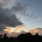 kntの画像
