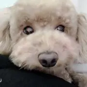 めたもんの画像