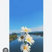 ぱいなっぷるの画像