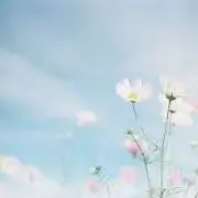 na＊コメントはプロフ確認後お願いしますの画像