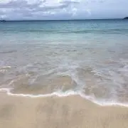 BAGUS3150の画像