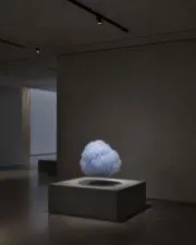 Uimの画像