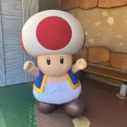 もちの画像