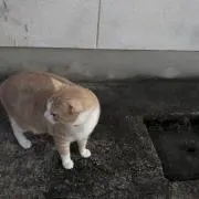 yuuの画像