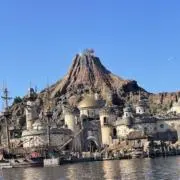 はなの画像