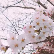 まーちゃん