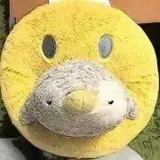 もんの画像