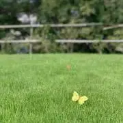 yoppi♪の画像