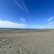 りーの画像