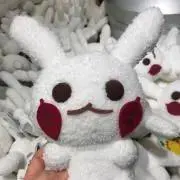 ピカの画像