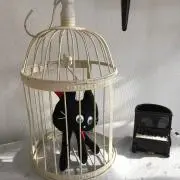 Ann【プロフ読んでね】の画像