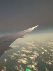 かっぱの画像