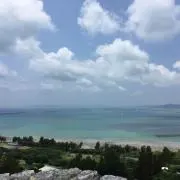 キティの画像