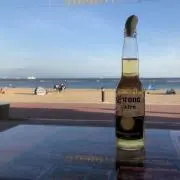 みっくんの画像