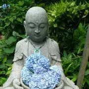 よつばの画像
