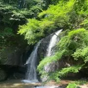 Shiho