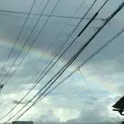 A♡カピバラの画像